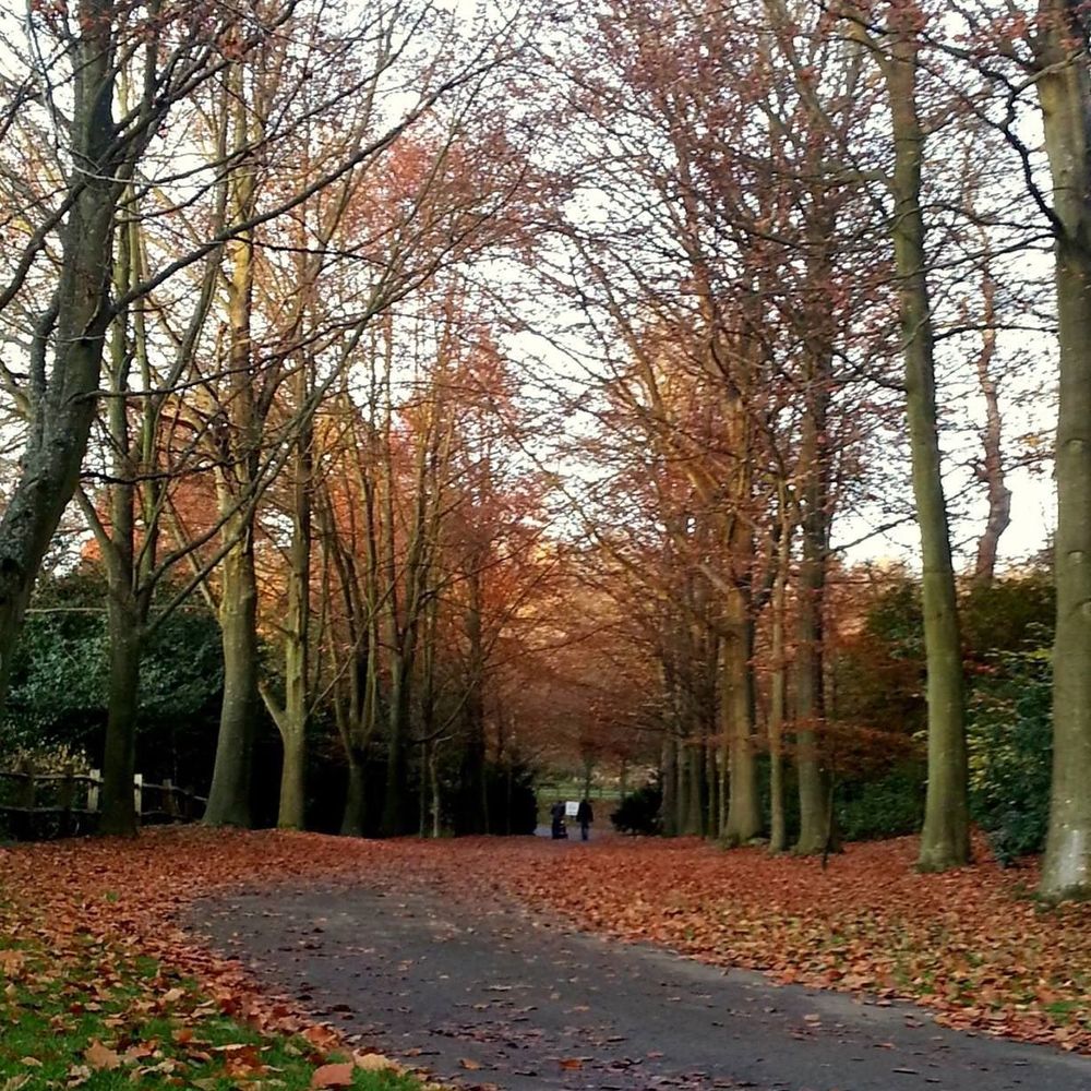 Meet your Posher, Zartash